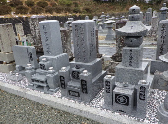 お客様の声を追加しました